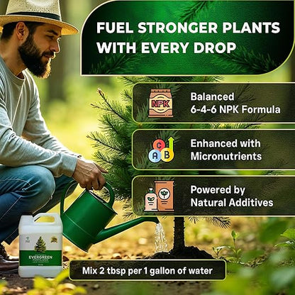 Leaves and Soul Professional Evergreen Tree Fertilizer Liquid Concentrate - 6-4-6 Blend for Evergreens, Garden Use - Liquid Plant Food for Evergreen Trees and Shrubs Outdoors - 32oz