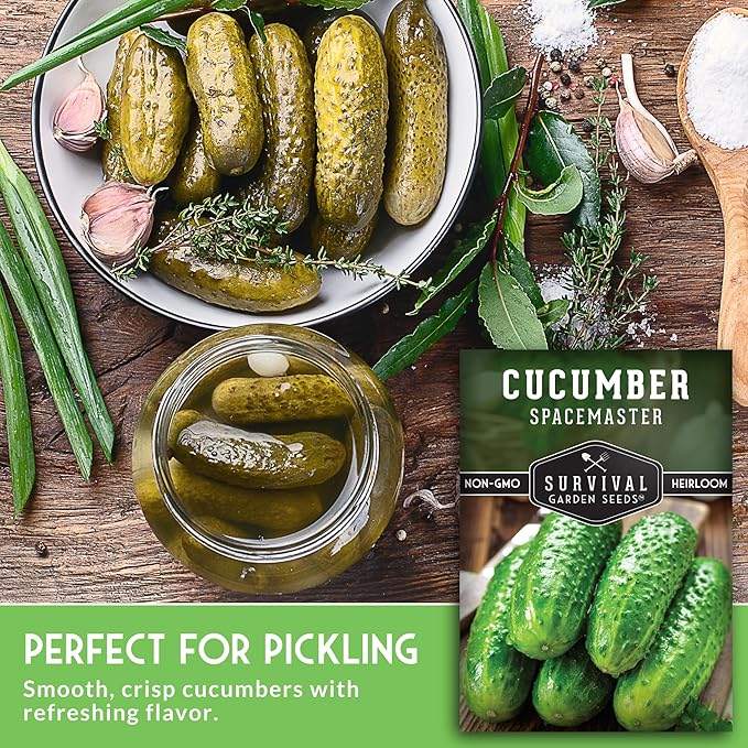 Spacemaster Cucumber Seeds for Planting | Compact Heirloom Non-GMO Variety for Small-Space Gardens – Survival Garden Seeds (3 Packs)