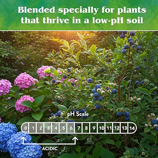 Down To Earth All Natural Fertilizers Organic Acid Mix - Plant Food for Blueberries, Raspberries, Azaleas and Rhododendrons 4-3-6, 1 lb