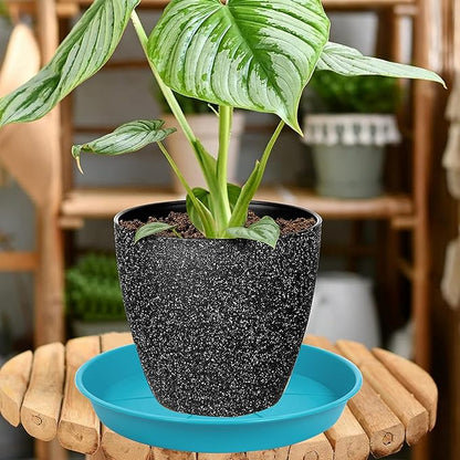 6 Pack of Plant Saucer Tray 9 10 inch, Heavy Duty Plastic Pot Plant Drip Trays Saucers for for Indoors Outdoor, Plant Water Tray for Planters 9-10" (10", Light Blue)