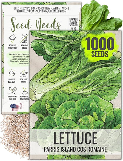 Seed Needs Romaine Lettuce Seeds for Planting Parris Island COS - Non-GMO Heirloom & Untreated Annual Cool Weather Crops - Grow a Home Grown Outdoor Vegetable Garden (1 Pack)