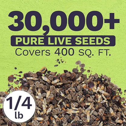 Bulk Wildflower Seeds Partial Shade Mix - 1/4 Pound Bag Over 30,000 Open Pollinated Annual and Perennial Seeds