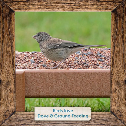Morning Song Dove & Ground Feeding Wild Bird Seed -12 lb. Dove, Quail & Pigeon Wild Bird Food for Outside Feeders
