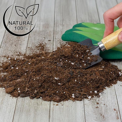Soil Sunrise Aroid Plant Potting Soil Mix (8 Quarts) for Pothos Devil's Ivy, ZZ Plant, Chinese Evergreen, Dumb Cane Philodendron, Syngonium, Alocasia, Colocasia Etc.