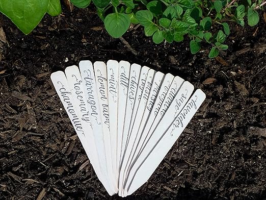 14-Pack! Culinary Herbs Farmhouse Decor Outdoor Indoor Kitchen Herb Garden Stakes, Christmas Stocking Stuffers, Plant Labels, Plant Tags, Garden Markers, Garden Gifts, Holiday Stocking Stuffers,