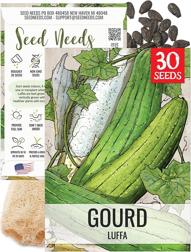 Seed Needs Luffa Seeds for Planting Loofah Sponge Gourds - Non-GMO Heirloom & Untreated Veggie Seed to Plant a Home Grown Outdoor Vegetable Garden (1 Pack)