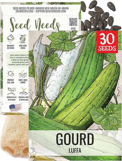 Seed Needs Luffa Seeds for Planting Loofah Sponge Gourds - Non-GMO Heirloom & Untreated Veggie Seed to Plant a Home Grown Outdoor Vegetable Garden (1 Pack)