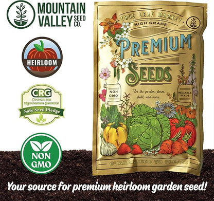 Crimson Clover – 25 lb Bulk (~1,160,000) for Cover Crops, Pasture, Hay, Wildlife Forage, Pollinator Attraction & Green Manure – Legume for Planting