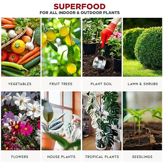 GARDENERA Premium Organic Seaweed & Kelp Superfood for Philodendron Plants - 32 oz - Liquid Kelp Fertilizer Concentrate (Makes 180 Gallons)