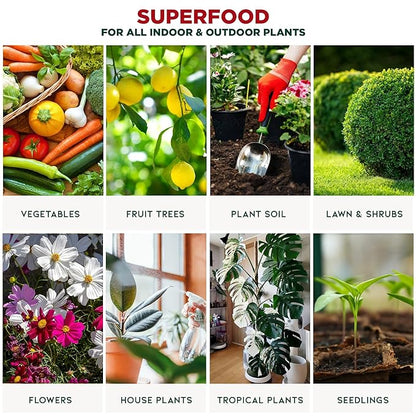 GARDENERA Premium Organic Seaweed & Kelp Superfood for Bamboo Plants - 8 oz - Liquid Kelp Fertilizer Concentrate (Makes 45 Gallons)