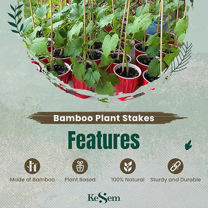 100pcs 18" Bamboo Plant Stakes 18 inch Long Skewers Sticks Wood Plant Supports Floral Wooden Sticks Indoor Gardening Supports Garden Stick, Sign Posting or Craft