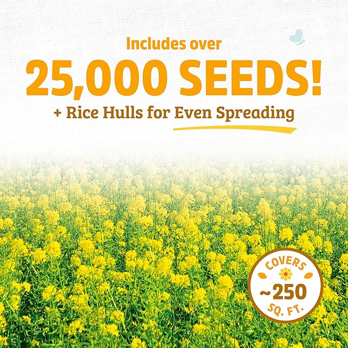 Back to The Roots 100% Organic Yelow Mustard Cover Crop Seeds, Covers ~1000 sq. ft.