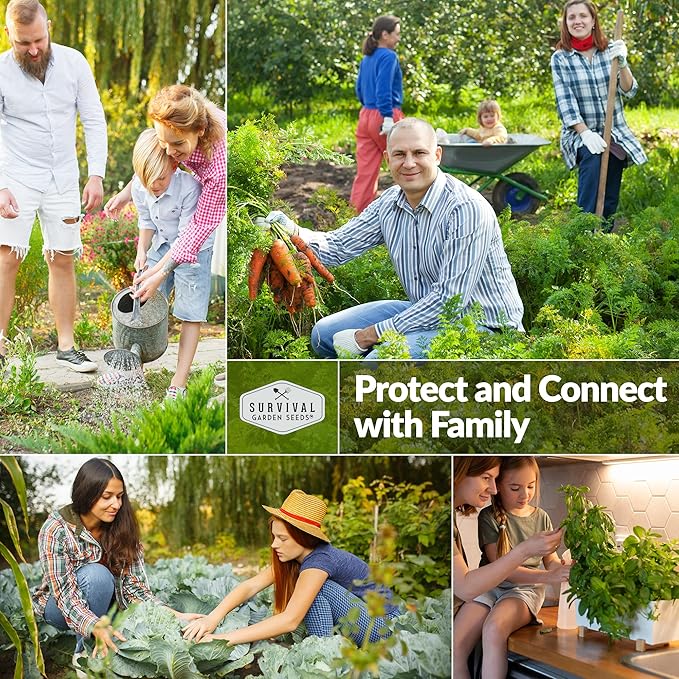 3 Packs Fenugreek Seed for Planting with Instructions to Grow Samudra Methi in Your Home Vegetable Garden - Non-GMO Heirloom - Good Microgreens or Sprouts - Survival Garden Seeds