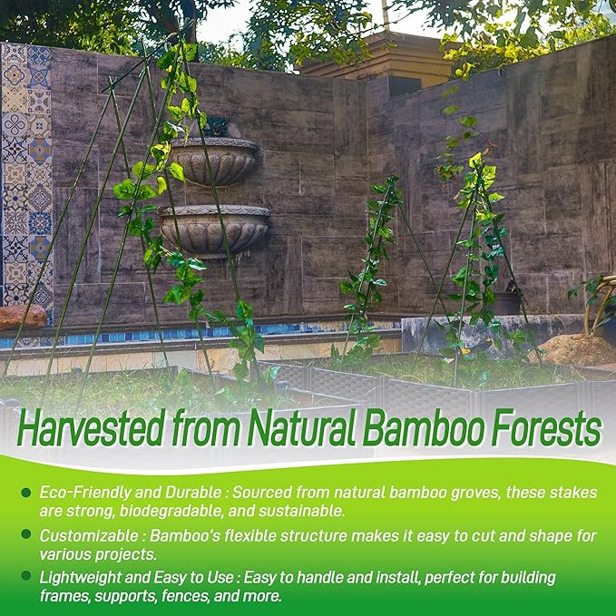 50Pcs 4ft Bamboo Sticks for Indoor Outdoor Plants, 0.29"-0.38" Natural Bamboo Poles, Durable Garden Stakes for Tomatoes, Beans, Flowers and Potted Plants