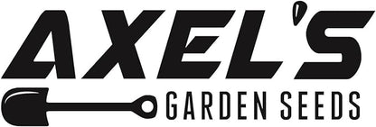 Scarlet Red Kale Seeds for Planting – Plant & Grow Heirloom Scarlet Red Kale in Home Outdoor Vegetable Garden, Brassica oleracea – 2 Packets