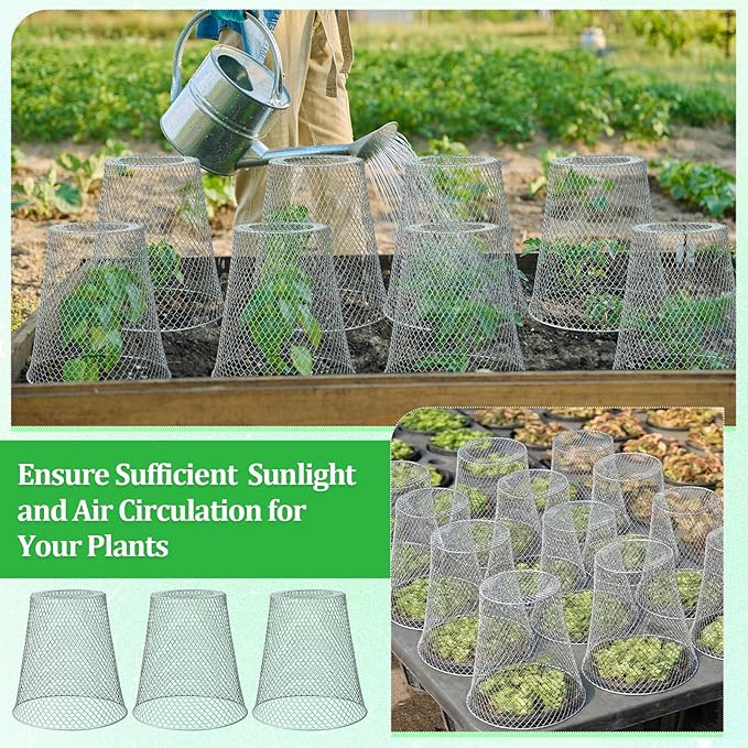 Therwen 6 Pcs Large Chicken Wire Cloche Plant Protector Cover 11x12 Inch Metal Garden Cloche Dome for Plants Wire Protection Basket with Garden Stakes Plant Cages from Animals (Silver)