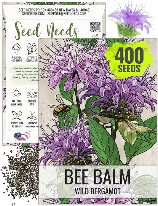 Seed Needs Bee Balm Seeds for Planting Wild Bergamot - Heirloom & Open Pollinated Perennial Flowers to Grow a Butterfly Garden to Attract Bees, Butterflies & Other Pollinators (1 Pack)