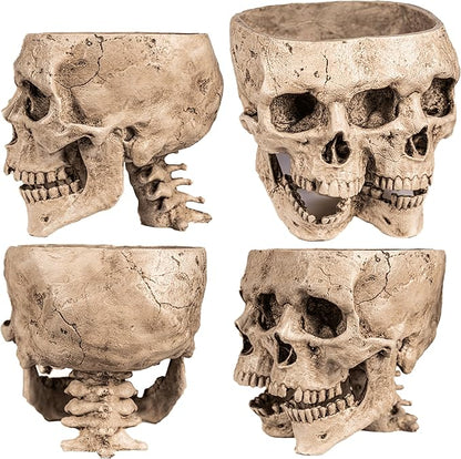Kobi & Knight Skull Planter Pot for Indoor Plants - Skull Flower Pot in Gift Box - Gothic Planter Pot for Succulents, Brain Cactus Plants - Double Skull Planters for Halloween, Goth Home Decor