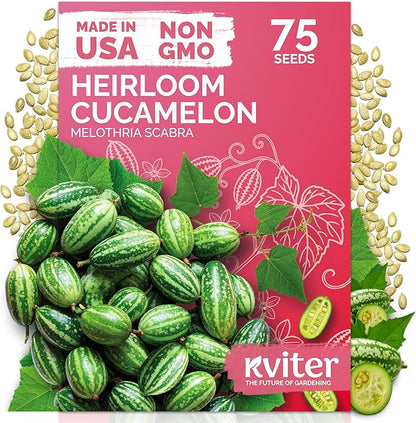 KVITER 75 Cucamelon Seeds for Planting (Melothria Scabra) – Mexican Sour Gherkin Seeds, Gherkin Cucumber, Mexican Mini Watermelon – Heirloom Vegetable Seed for Outdoor & Indoor Garden, Containers