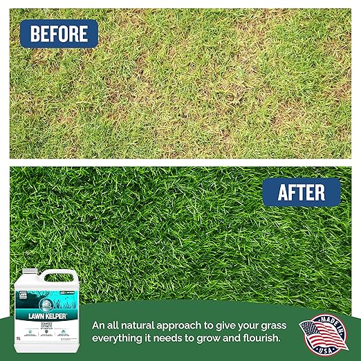 Turf Titan Lawn Kelper Hose End – Liquid Fertilizer with Seaweed Kelp Extract for Lush, Greener Grass – Non-Toxic Seaweed Fertilizer for Lawn & Plants – Covers Up to 8000 Sq Ft