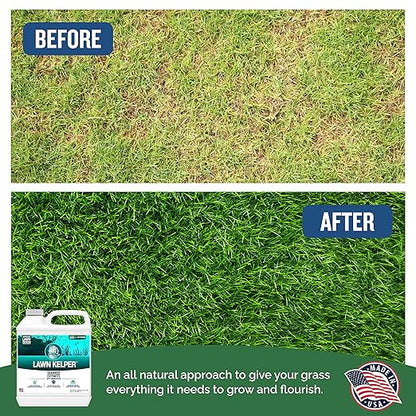 Turf Titan Lawn Kelper Hose End – Liquid Fertilizer with Seaweed Kelp Extract for Lush, Greener Grass – Non-Toxic Seaweed Fertilizer for Lawn & Plants – Covers Up to 8000 Sq Ft