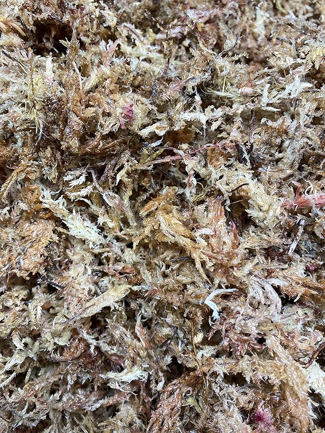 Peruvian Sphagnum Moss by Orchid Nerd ™ (Peruvian Sphagnum Moss, 500 Grams)