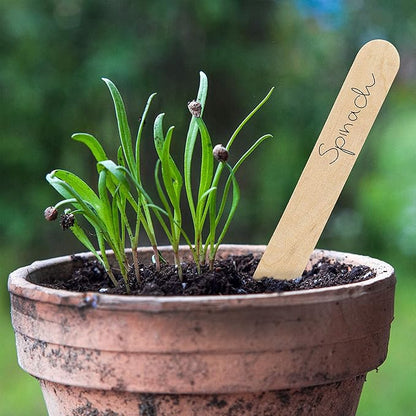 Plant Markers: 50 Wooden Plant Name Tags and Marker Pen – Plant Labels Wooden, Plant Tags, Seedling Labels – Gardening Name Tags, Garden Sign OwnGrown