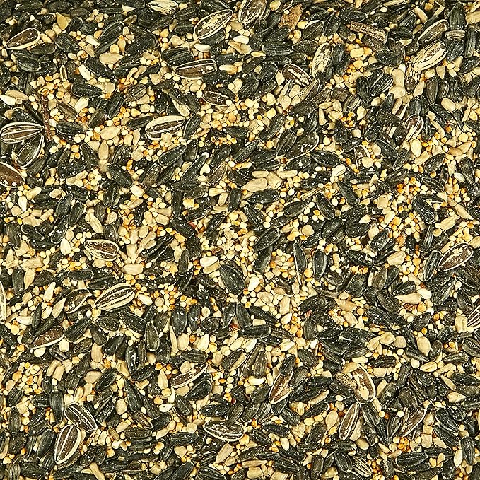 Kaytee Northeast Regional Wild Bird Blend, 7-Pound Bag