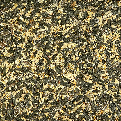 Kaytee Northeast Regional Wild Bird Blend, 7-Pound Bag