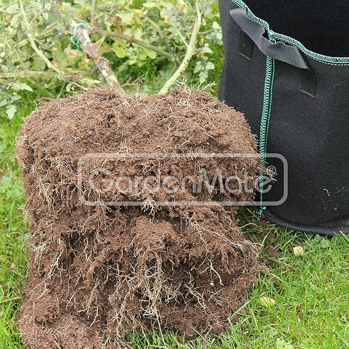 GardenMate 3-Pack 8 gallons Soft-Sided Plant pots – Grow Bags with Soft Felt-Like Texture That Promote air Root Pruning