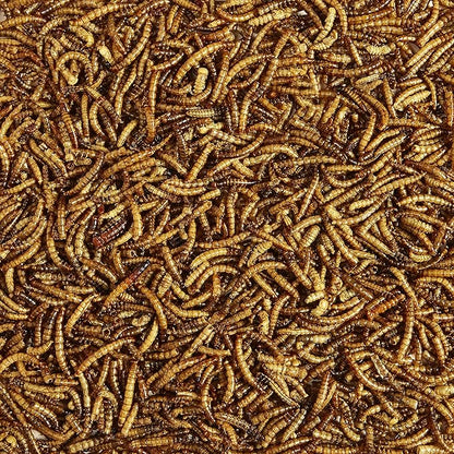 Kaytee Wild Bird Food Mealworms For Bluebirds, Wrens, Robins, Chickadees, Woodpeckers, Cardinals & Chickens, 2 Pound