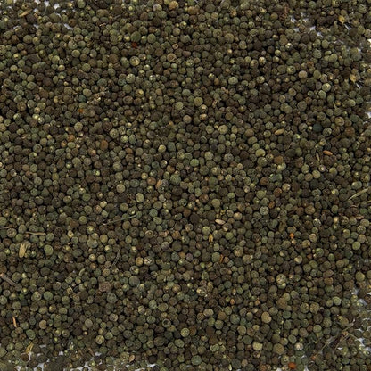 Cleavers Seeds (Galium aparine) Packet of 20