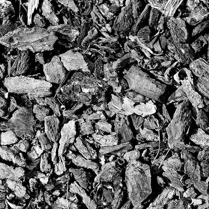 Char Bliss (1 Qt) - Organic Biochar for Plants - OMRI-Listed Biochar Soil Amendment Organic - Horticultural Charcoal for Plants, Gardening, & Potting Soil - 100% Natural and Renewable Bio Char