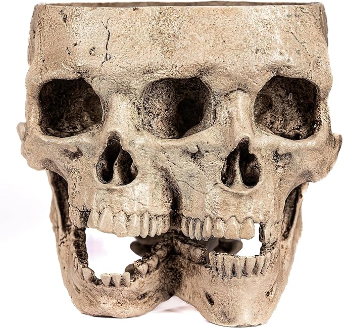 Kobi & Knight Skull Planter Pot for Indoor Plants - Skull Flower Pot in Gift Box - Gothic Planter Pot for Succulents, Brain Cactus Plants - Double Skull Planters for Halloween, Goth Home Decor