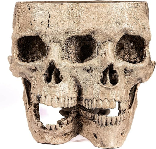 Kobi & Knight Skull Planter Pot for Indoor Plants - Skull Flower Pot in Gift Box - Gothic Planter Pot for Succulents, Brain Cactus Plants - Double Skull Planters for Halloween, Goth Home Decor