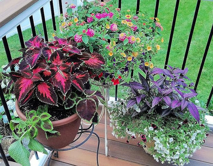100 EarthPods - Premium Flower Fertilizer Spikes - Boost Blossoms (Great for Roses, Potted Annuals, Perennials, Flower Bulbs, Hanging Baskets) - Made in USA