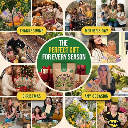 21 Culinary Herb Seeds Variety Pack - Heirloom, Non-GMO, Herb Seeds for Planting Outdoor and Indoor - Home Gardening. Over 11,400+ Seeds Including Rosemary, Thyme, Oregano, Mint, Basil, Parsley & More