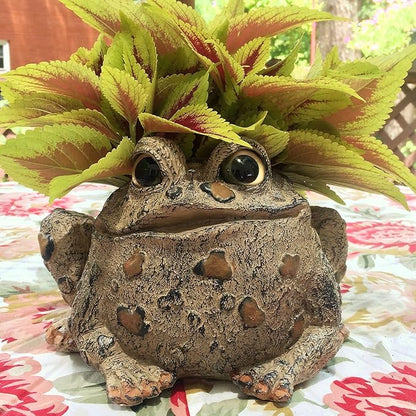 Toad Hollow HomeStyles Large Toad Planter 7" H Holds 4" W Pot, Natural Brown