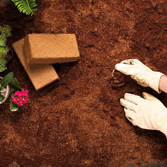 Coco Bliss 650gm Bricks (6-Pack) - Organic Coco Coir for Plants - OMRI-Listed Coco Coir for Garden Soil & Potting Mixes - Coconut Fiber Mixes with Potting Soil for Indoor Plants & Outdoor Plants