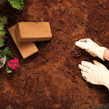 Coco Bliss 650gm Bricks (6-Pack) - Organic Coco Coir for Plants - OMRI-Listed Coco Coir for Garden Soil & Potting Mixes - Coconut Fiber Mixes with Potting Soil for Indoor Plants & Outdoor Plants