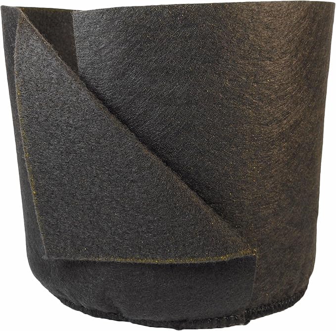 Smart Pots Soft-Sided Transplanter Plant Container, 1-Gallon, Black