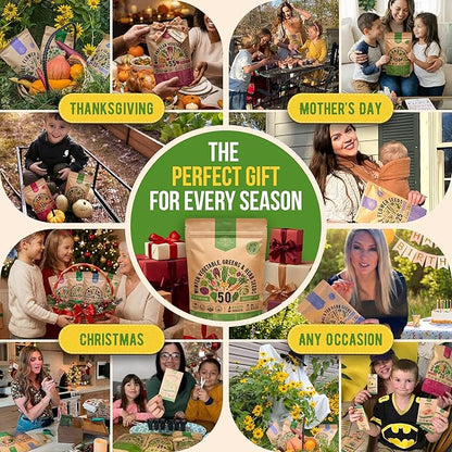 50 Winter Vegetable Garden Seeds Variety Pack - 43,450+ Non-GMO Heirloom Seeds for Outdoors & Indoor Home Gardening, Including Kohlrabi, Lettuce, Radish, Onion, Choy, Spinach, Cauliflower, Collards