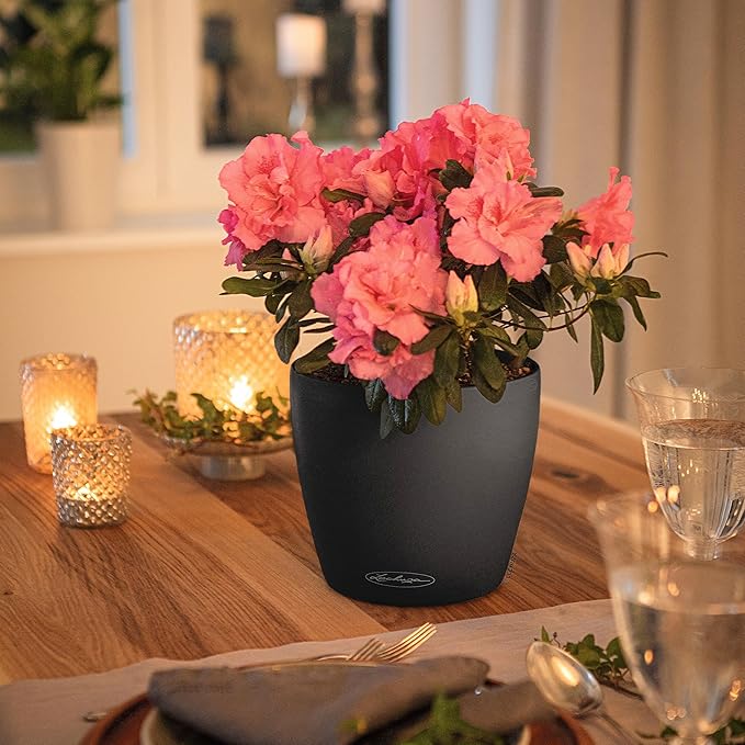 Lechuza Classico Color 21 Slate, Self-Watering Small Round Planter, D8.3 H7.9 in