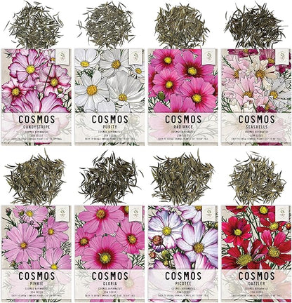 Seed Needs Cosmos Seeds for Planting a Collection of Cosmo Wildflowers - Heirloom & Open Pollinated Flower Seed to Plant Pink, White, Purple, Red & Bi-Colored Blooms for a Butterfly Garden