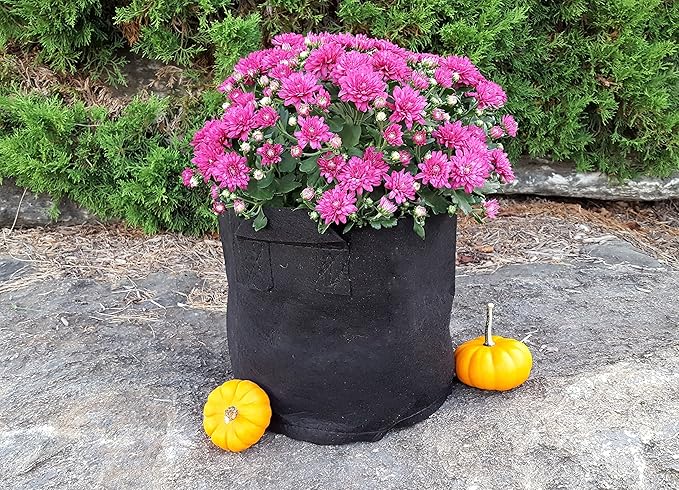Bootstrap Farmer Grow Bags 5 Gallon Fabric Plant Pots with Handles, 10 Pack