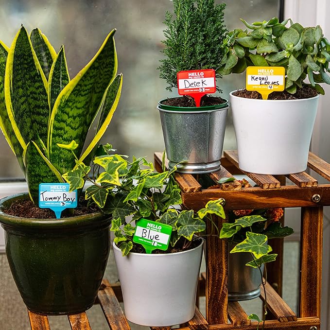 Plant Name Badges - Wipeable Labels for House Plants - Home Accessories - x 12 100% Recycled Name Tags for Indoor Plant Pots - Pen Included