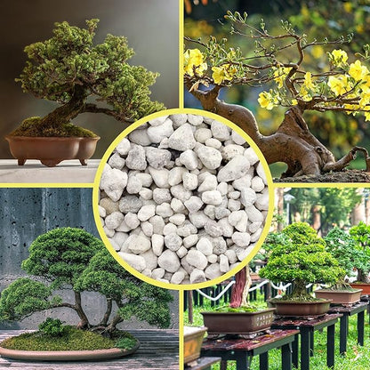 Soil Sunrise Horticultural Bonsai Pumice Soil Additive (4 Quarts) 7LB Ideal Substrate for Bonsai Trees, Cactus and Succulents