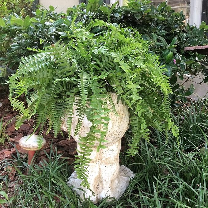 homestyles 18 in. Antique White Axle The Muggly Statue Face Planter Holds 7 in. Pot