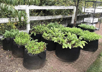 RootEase 5-Pack Garden Planting Aeration Fabric Pot, Heavy Duty Durable Fabric Grow Bag / Planter, Raised Bed Gardening, Best Air Pruning Root Treatment Eco-Friendly Grow Bags with Handles