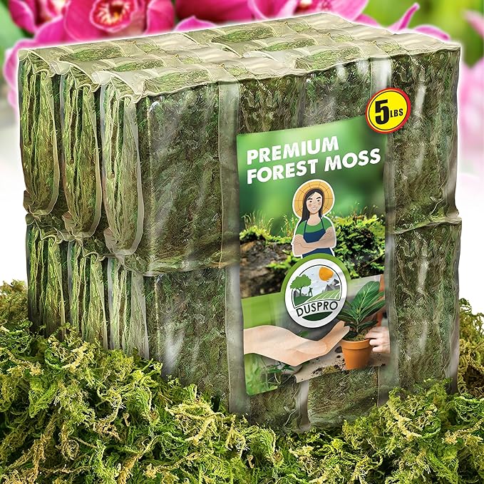 DUSPRO Big Bag Dried Forest Moss for Plant Propagation Sphagnum Moss Bulk for Orchid Repotting Mix Organic Soil Medium Bale Premium Hand Selected (5 LBS)
